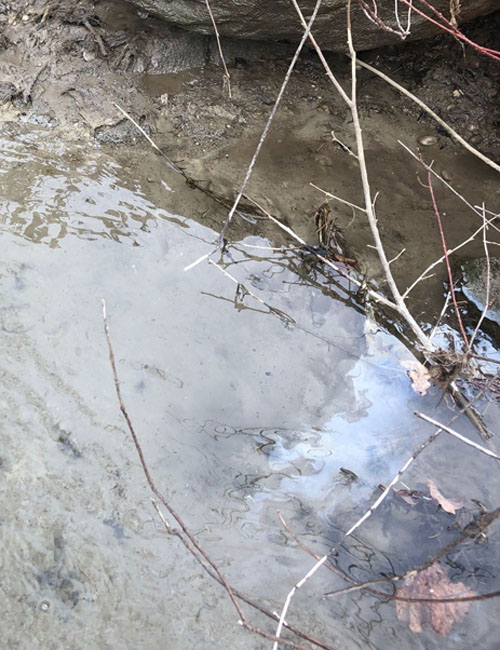 Gewässerschmutzung Bild 2