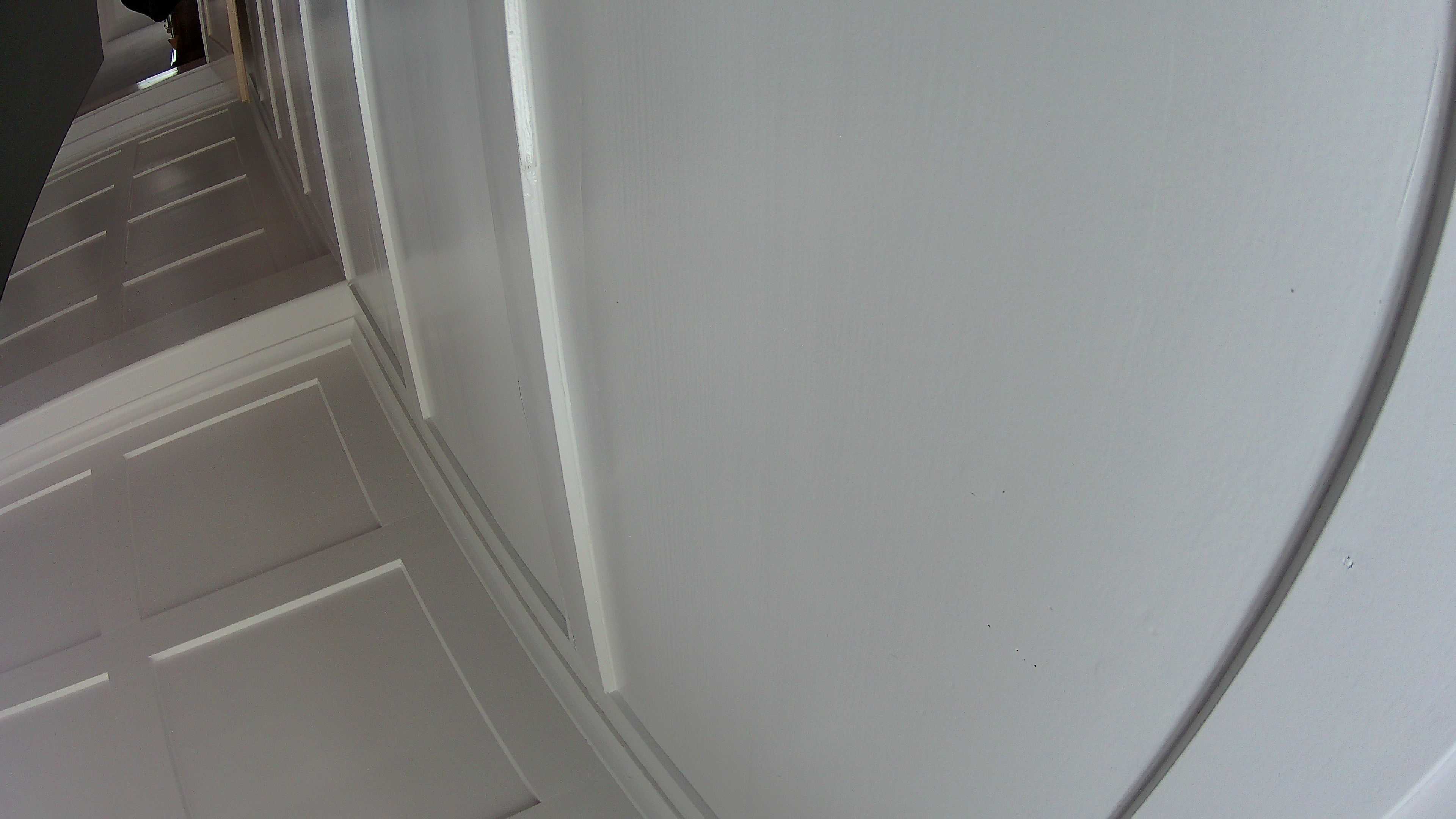 Webcam Fischereiverein Thur